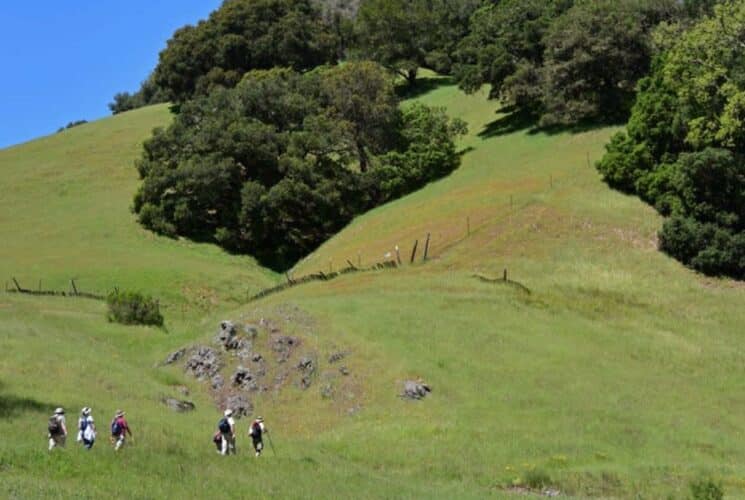 Five people hiking over an expansive grass covered mountain