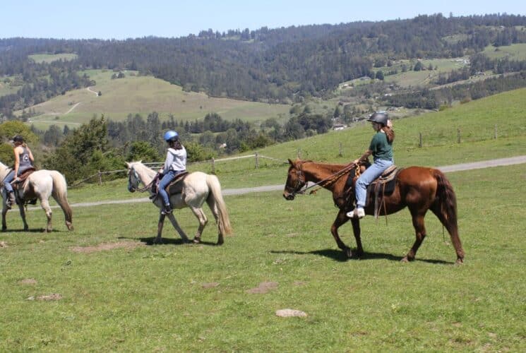 Three people on horseback taking a trail ride in open land with rolling hills