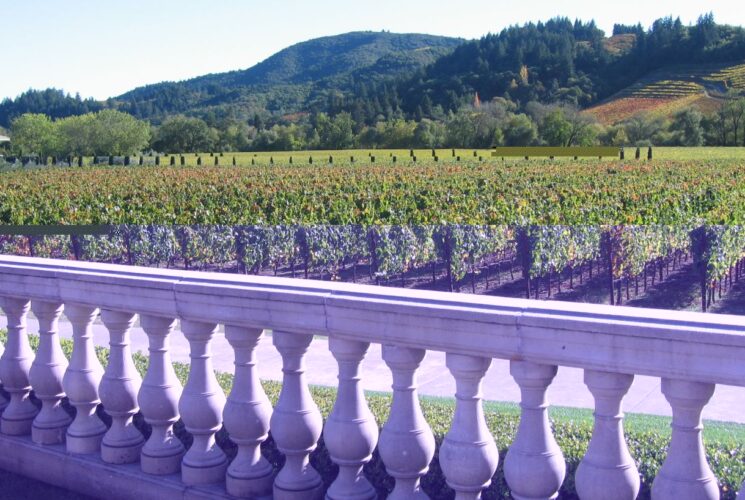 A decorative marble railing overlooking an expansive vineyard